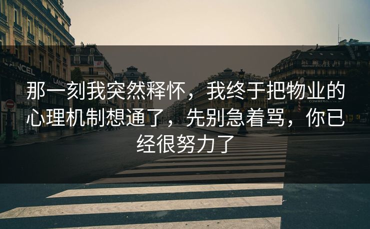 那一刻我突然释怀，我终于把物业的心理机制想通了，先别急着骂，你已经很努力了
