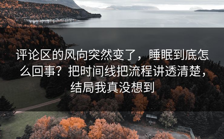 评论区的风向突然变了，睡眠到底怎么回事？把时间线把流程讲透清楚，结局我真没想到
