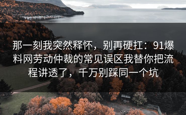 那一刻我突然释怀，别再硬扛：91爆料网劳动仲裁的常见误区我替你把流程讲透了，千万别踩同一个坑