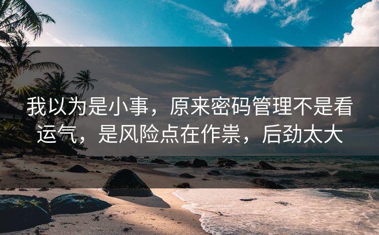 我以为是小事，原来密码管理不是看运气，是风险点在作祟，后劲太大