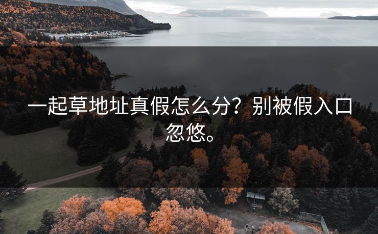 一起草地址真假怎么分?别被假入口忽悠。 一起草地址真假怎么分?别被假入口忽悠。