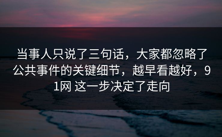 当事人只说了三句话，大家都忽略了公共事件的关键细节，越早看越好，91网 这一步决定了走向