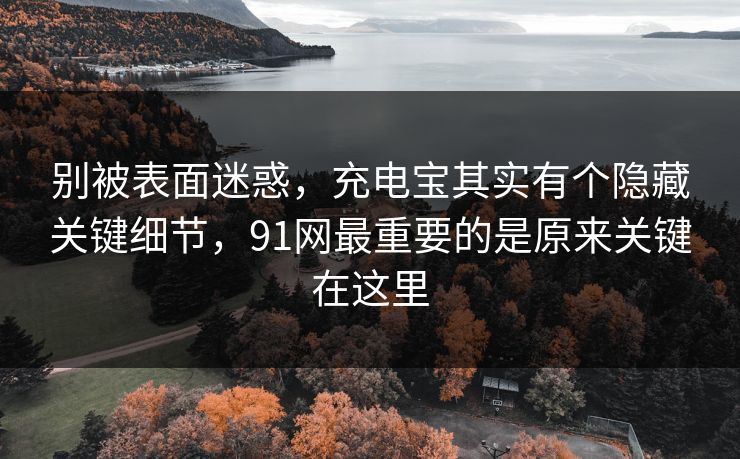 别被表面迷惑，充电宝其实有个隐藏关键细节，91网最重要的是原来关键在这里