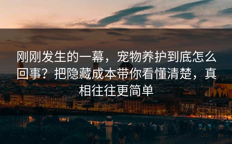 刚刚发生的一幕，宠物养护到底怎么回事？把隐藏成本带你看懂清楚，真相往往更简单