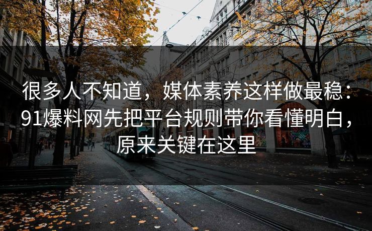 很多人不知道，媒体素养这样做最稳：91爆料网先把平台规则带你看懂明白，原来关键在这里
